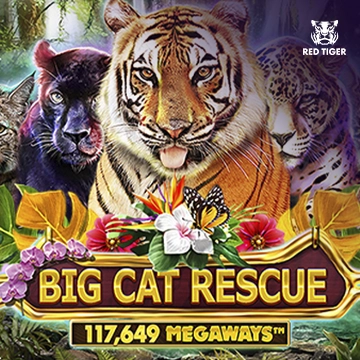 Big Cat Rescue Megaways - AZGAMING388