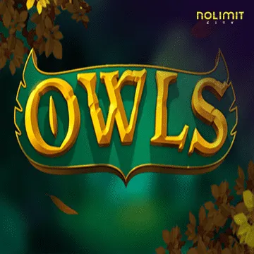 Owls - AZGAMING388