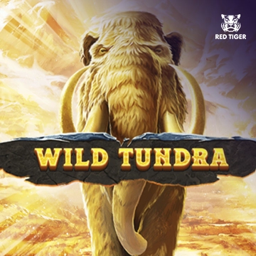Wild Tundra - AZGAMING388