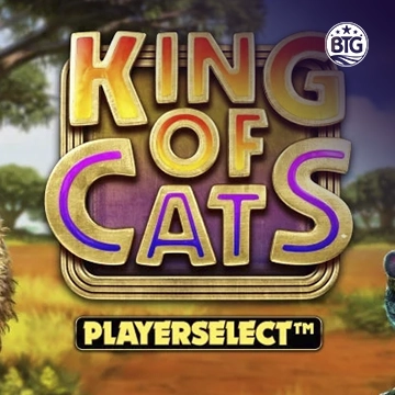 King of Cats - AZGAMING388