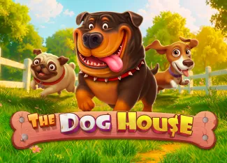 The Dog House - AZGAMING388