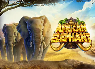 African Elephant - AZGAMING388